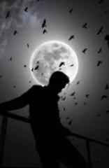 پشت پرده ی نور و سایه