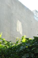 ساکن طبقه ی آخر