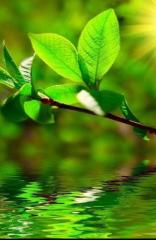 خوشبختی حقیقی 